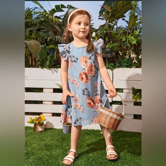 Blue Flutter Sleeve Bateau Neck Casual Sundress - Picture 4 of 6